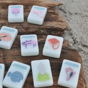 Barrier Island Mahjong Tiles